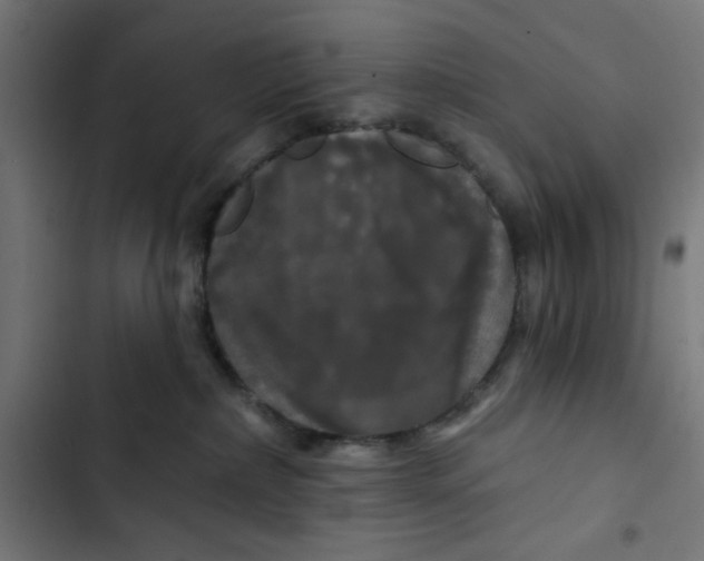 X0000102490236200809051329