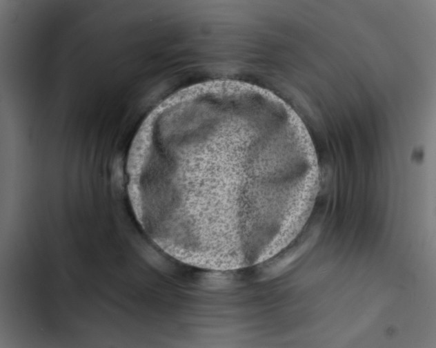 X0000102490238200809051329