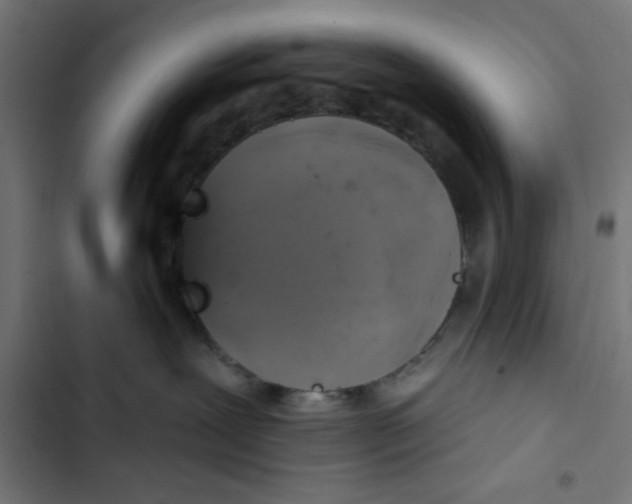 X0000102490239200809051329