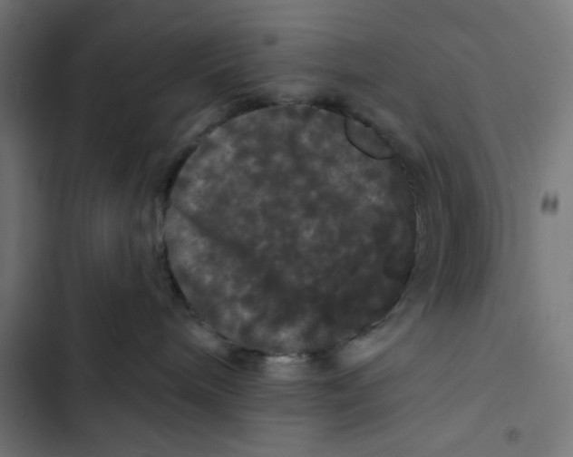 X0000102490240200809051329