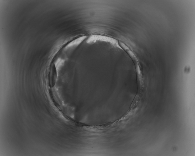 X0000102490241200809051328