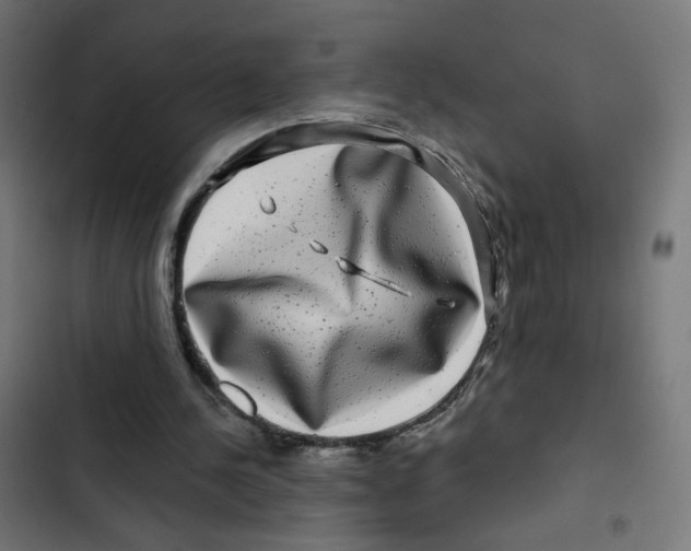 X0000102490244200809051328