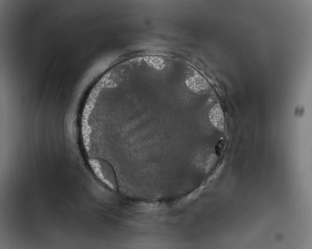 X0000102490245200809051328