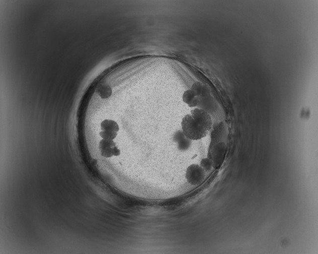 X0000102490246200809051328