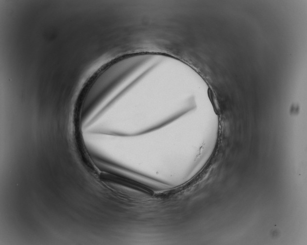 X0000102490248200809051328