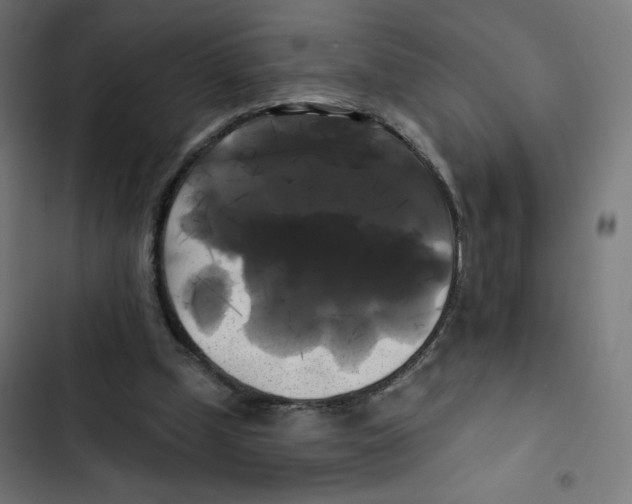 X0000102490249200809051328