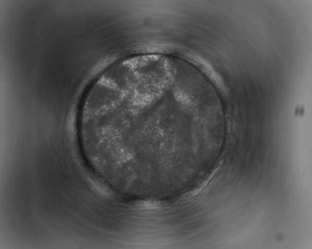 X0000102490250200809051328