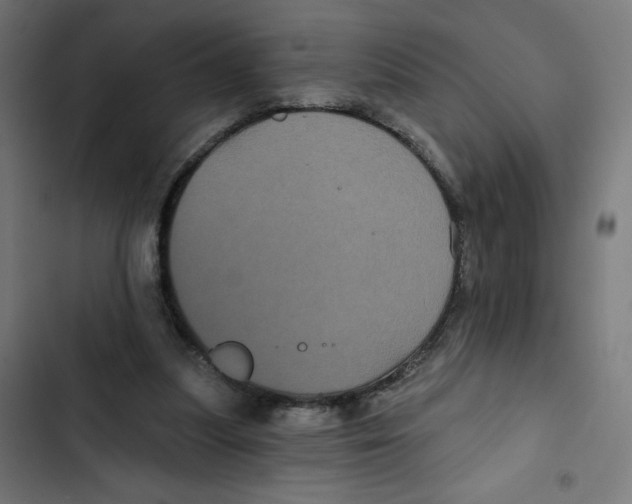 X0000102490251200809051328