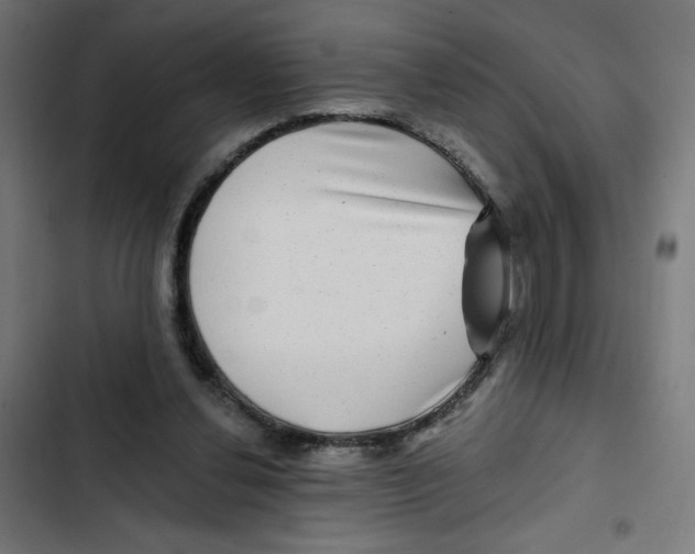 X0000102490252200809051329