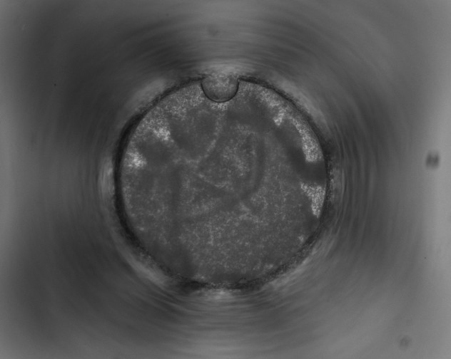 X0000102490254200809051329