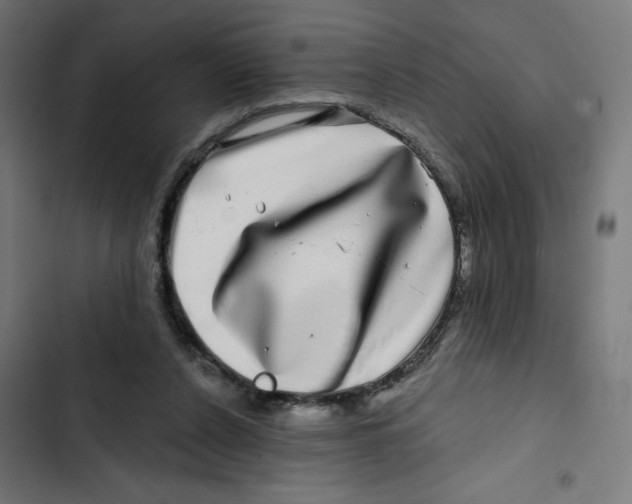 X0000102490256200809051329