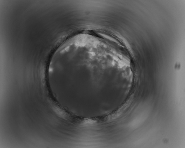 X0000102490257200809051329