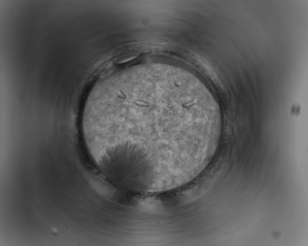 X0000102490258200809051329