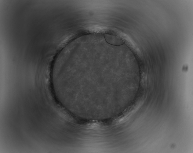 X0000102490259200809051329