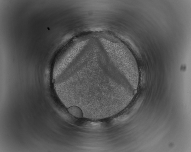 X0000102490260200809051329