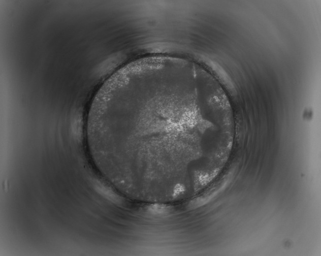 X0000102490261200809051329