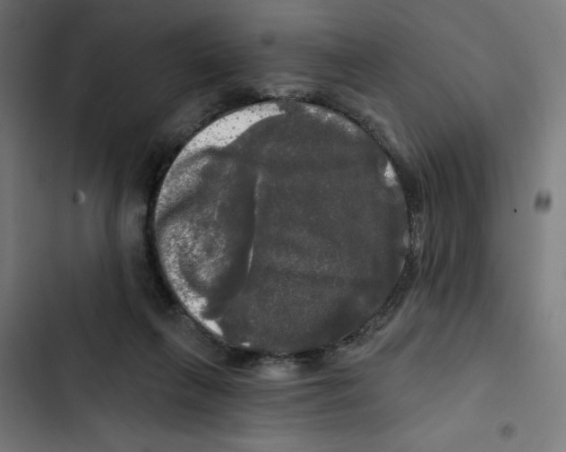 X0000102490263200809051329