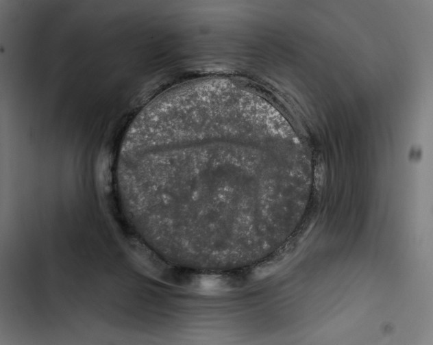 X0000102490264200809051329