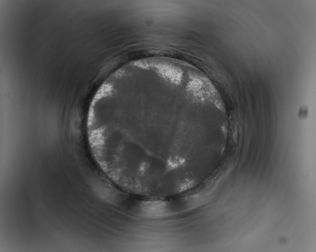 X0000102490266200809051329