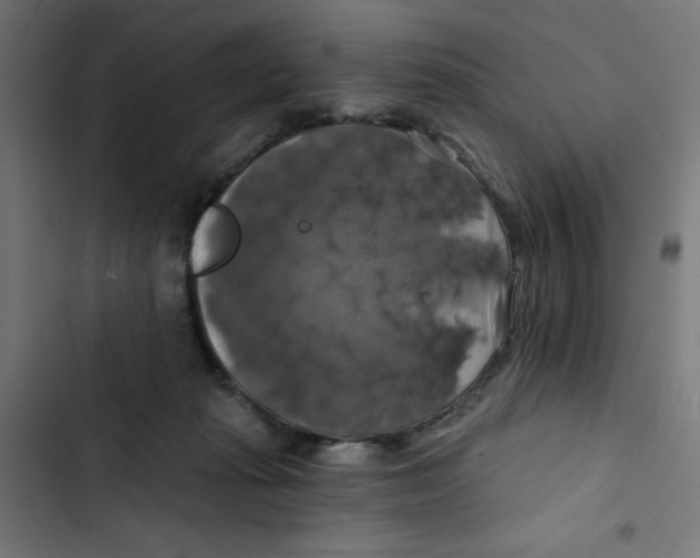 X0000102490269200809051329