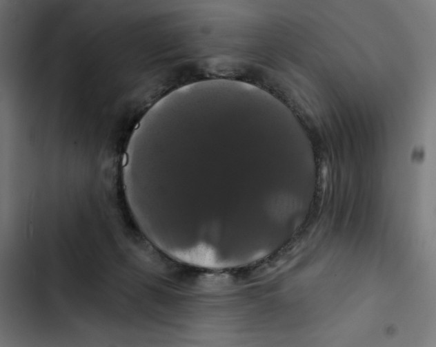 X0000102490271200809051329