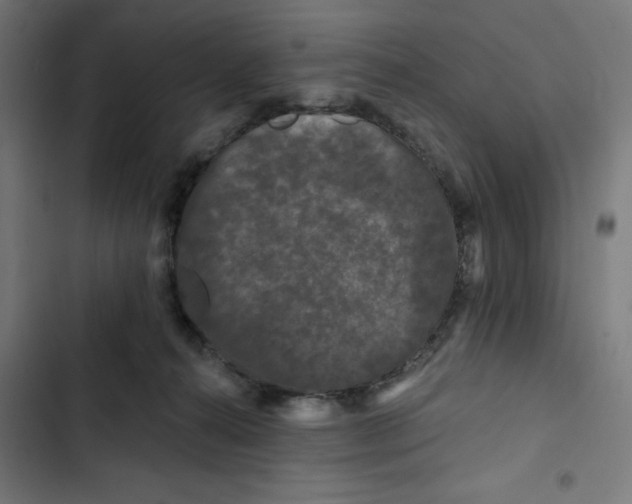 X0000102490272200809051329