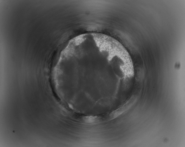 X0000102490273200809051329