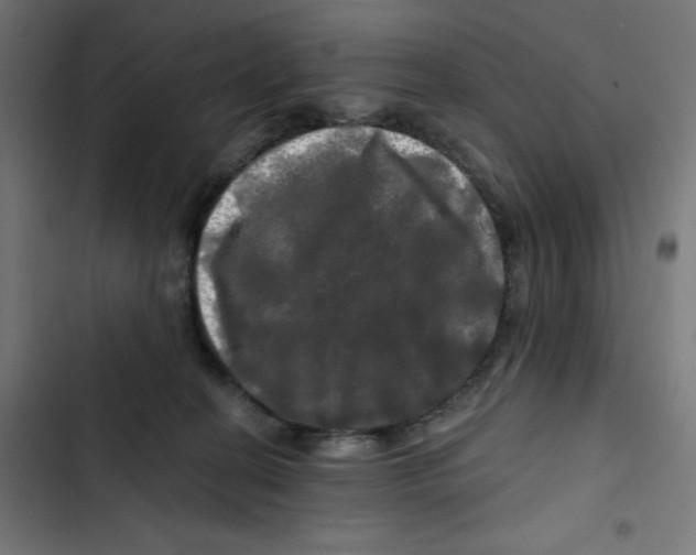 X0000102490274200809051329