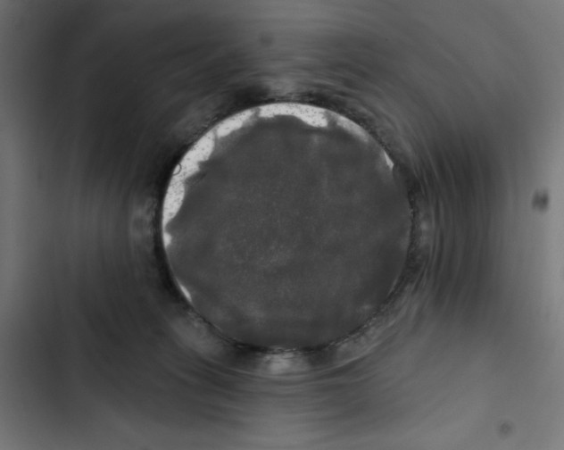 X0000102490275200809051329