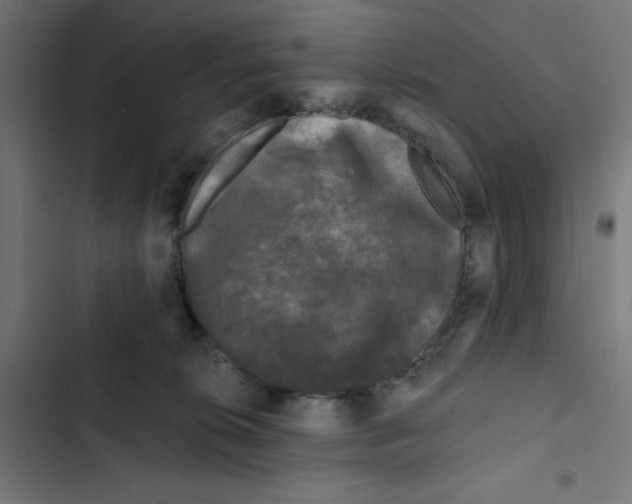 X0000102490276200809051329