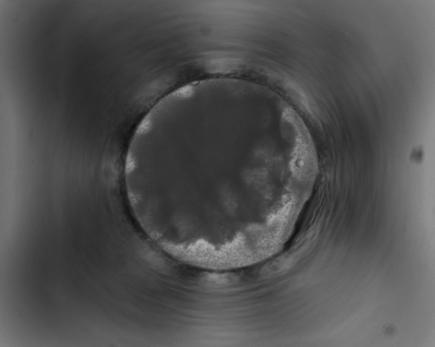 X0000102490277200809051329