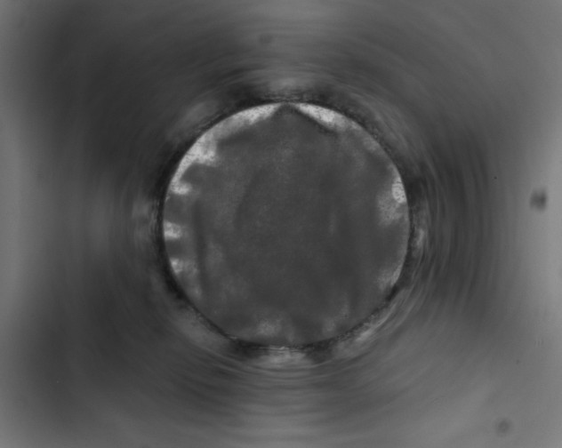 X0000102490278200809051329