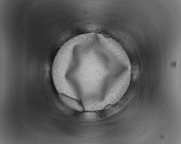 X0000102490279200809051329