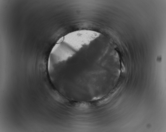 X0000102490282200809051329