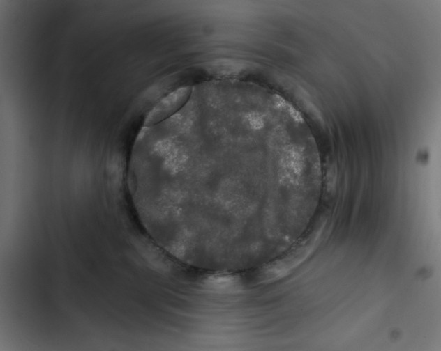 X0000102490283200809051329