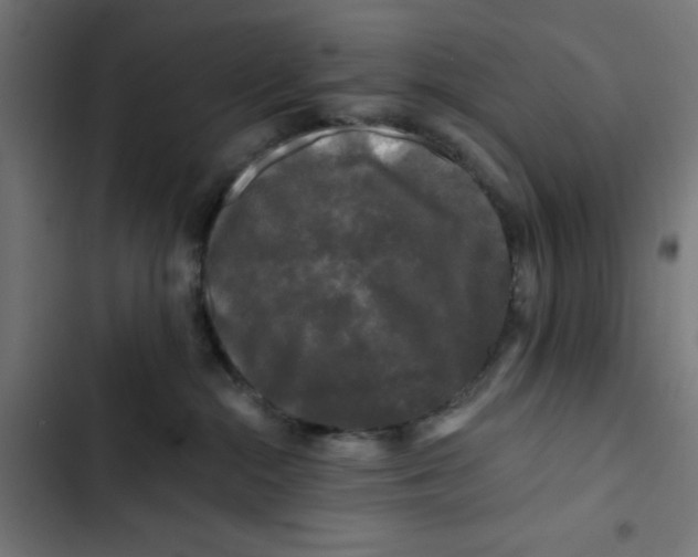 X0000102490284200809051329