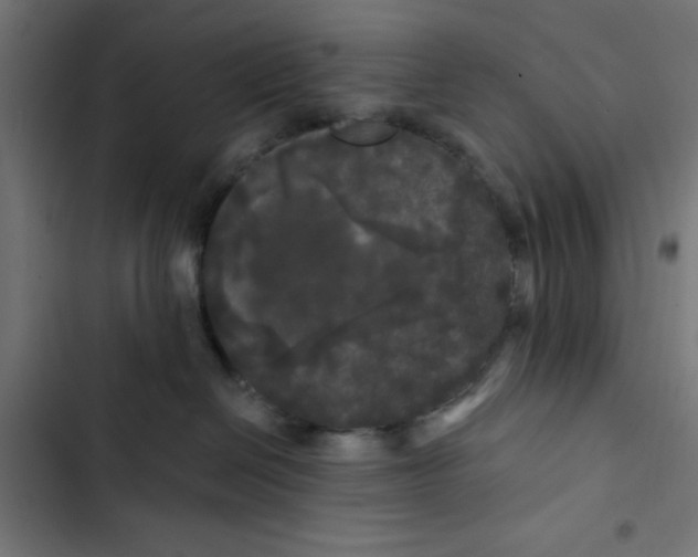 X0000102490286200809051329