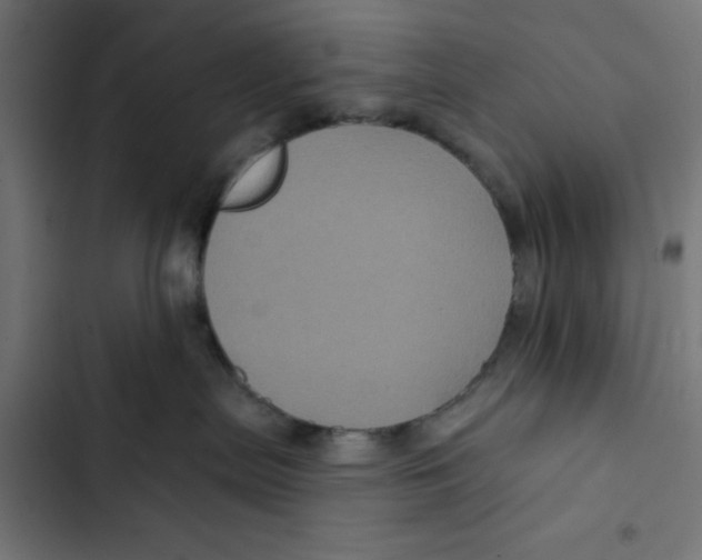 X0000102490287200809051329