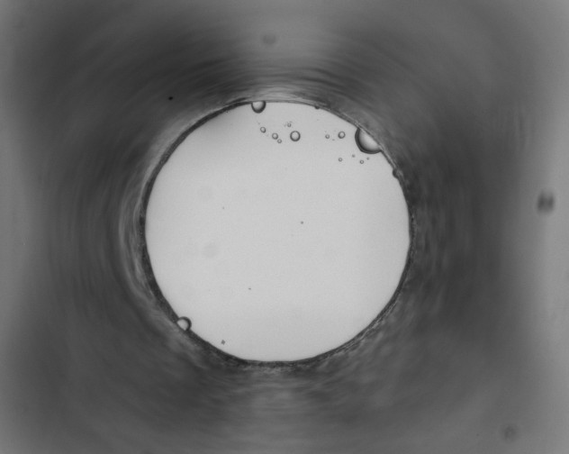 X0000102490289200809051328