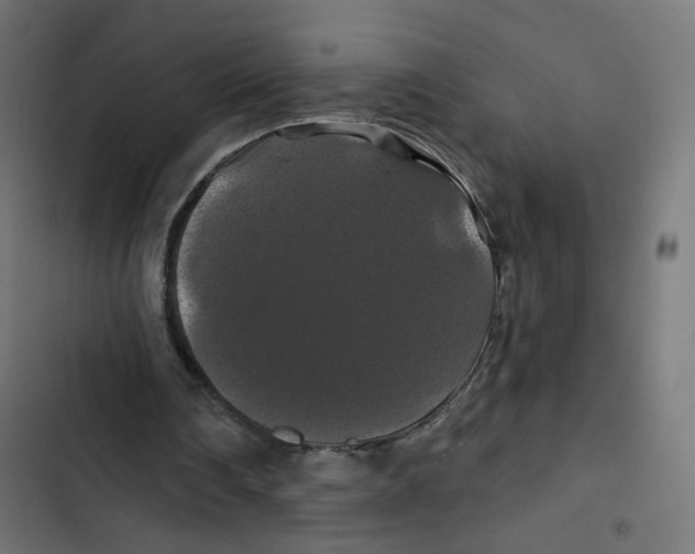 X0000102490290200809051328