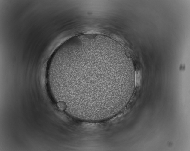 X0000102490291200809051328