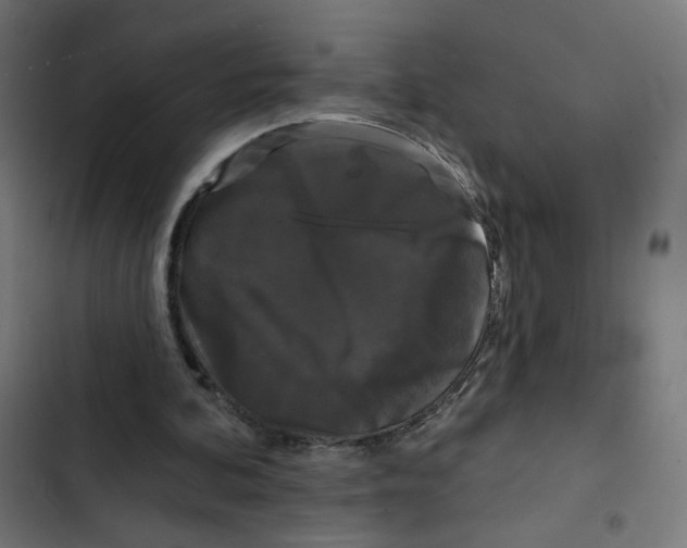 X0000102490292200809051328