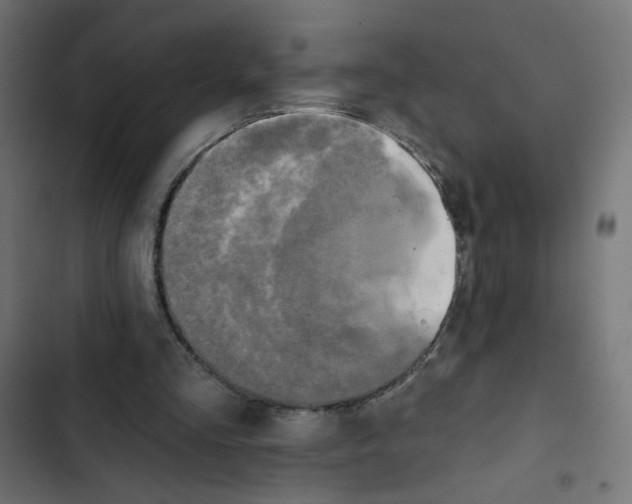 X0000102490293200809051328