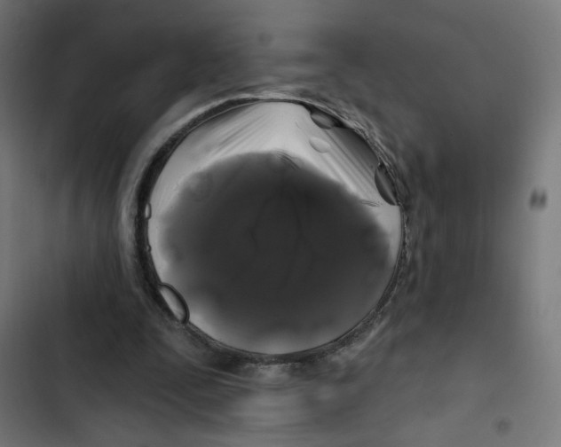 X0000102490295200809051328