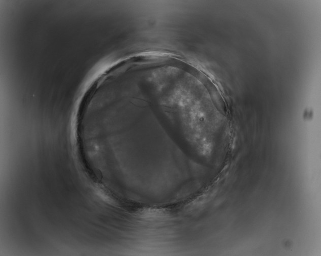 X0000102490296200809051328