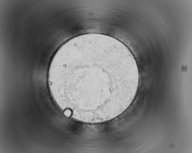 X0000102490297200809051328