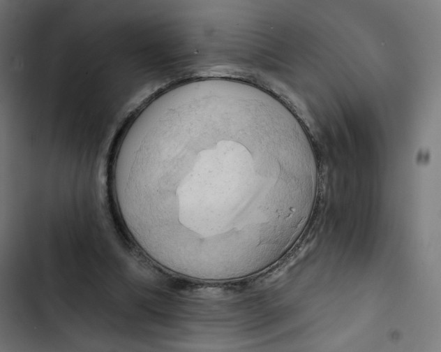 X0000102490298200809051328