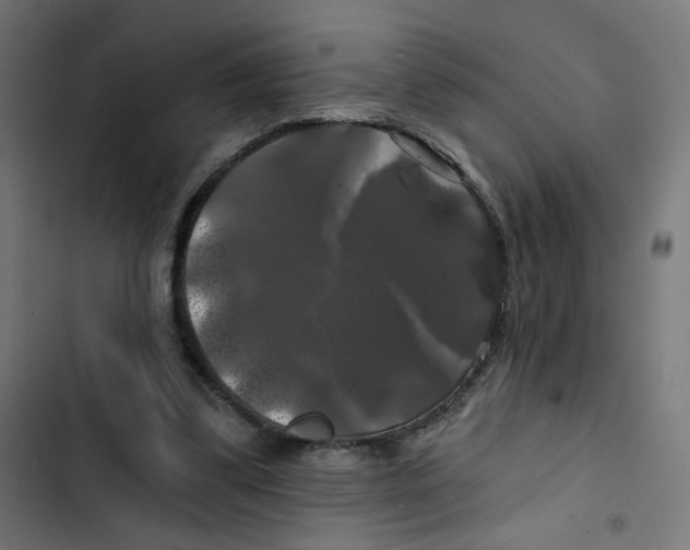 X0000102490299200809051328