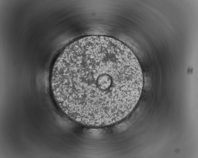 X0000102490302200809051328