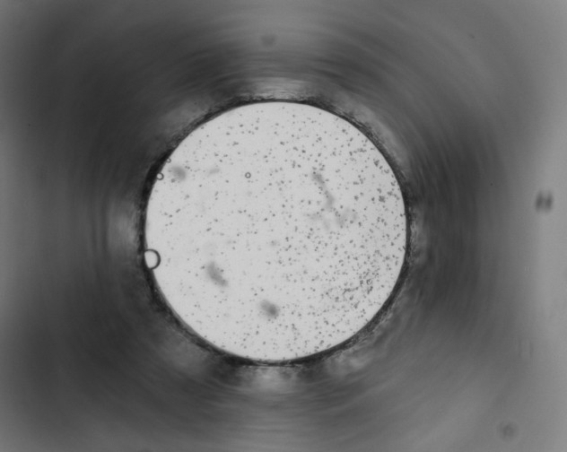 X0000102490305200809051328